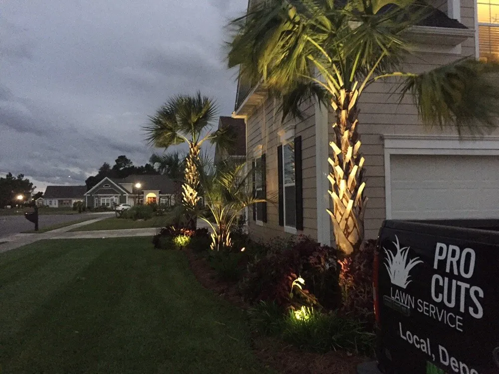 Professional landscape design near you in Myrtle Beach, SC by Pro Cuts Lawn Service