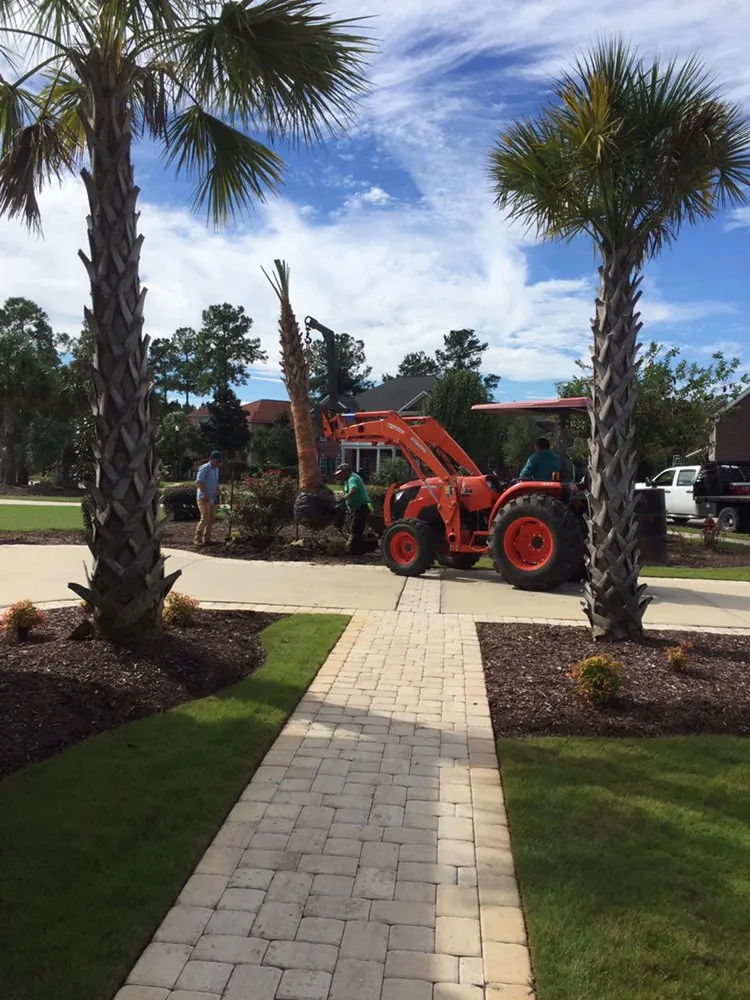 Custom lawn care service experts serving Myrtle Beach, SC - Pro Cuts Lawn Service