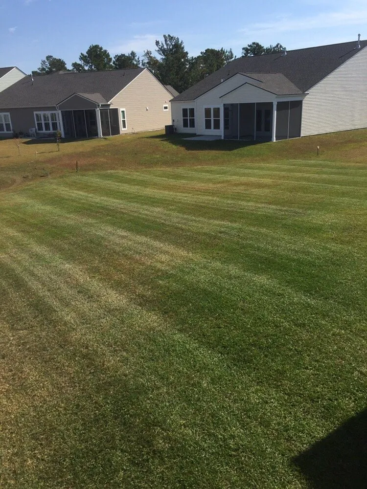 Custom yard maintenance in Myrtle Beach, SC by Pro Cuts Lawn Service