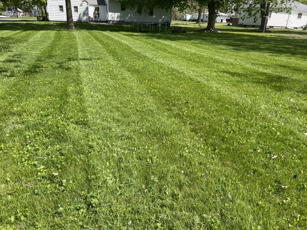 Affordable landscape design for homes in Waverly, IL by Pro Cuts Outdoor Services