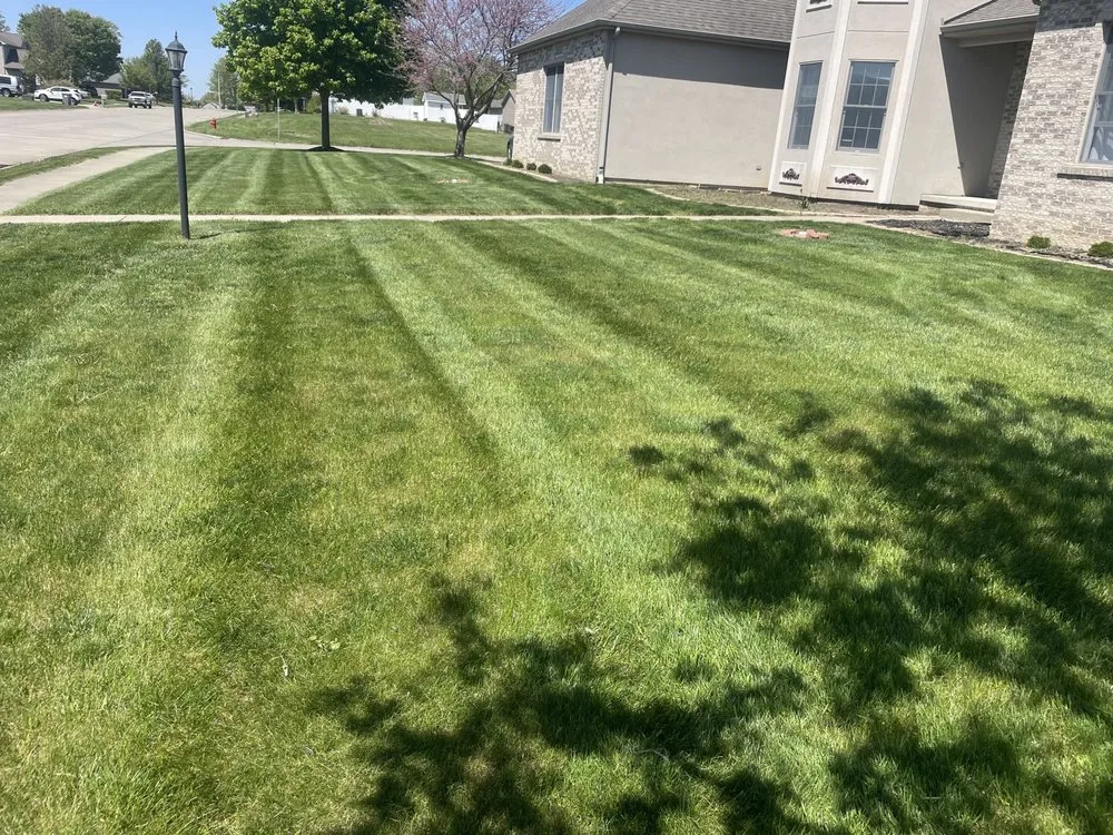 Professional yard maintenance in Waverly, IL by Pro Cuts Outdoor Services