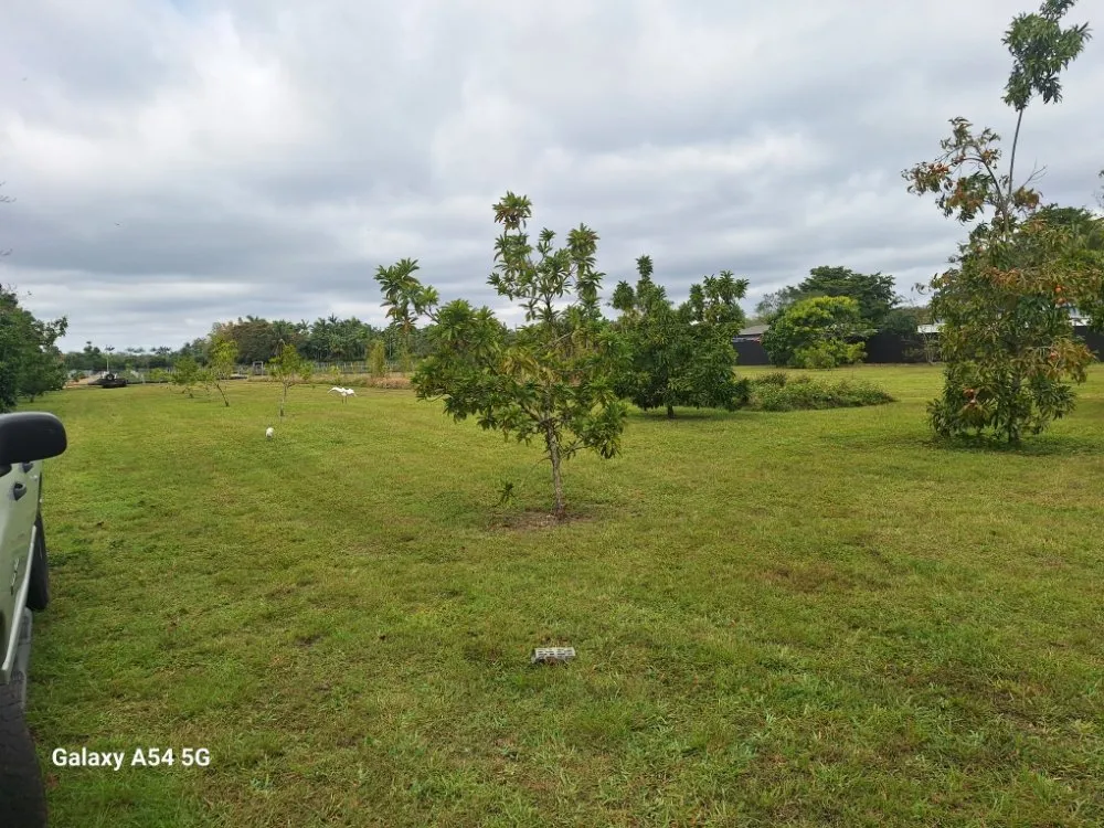 Custom lawn mowing service for year-round maintenance across Homestead, FL - Pro Cuts Property Maintenance