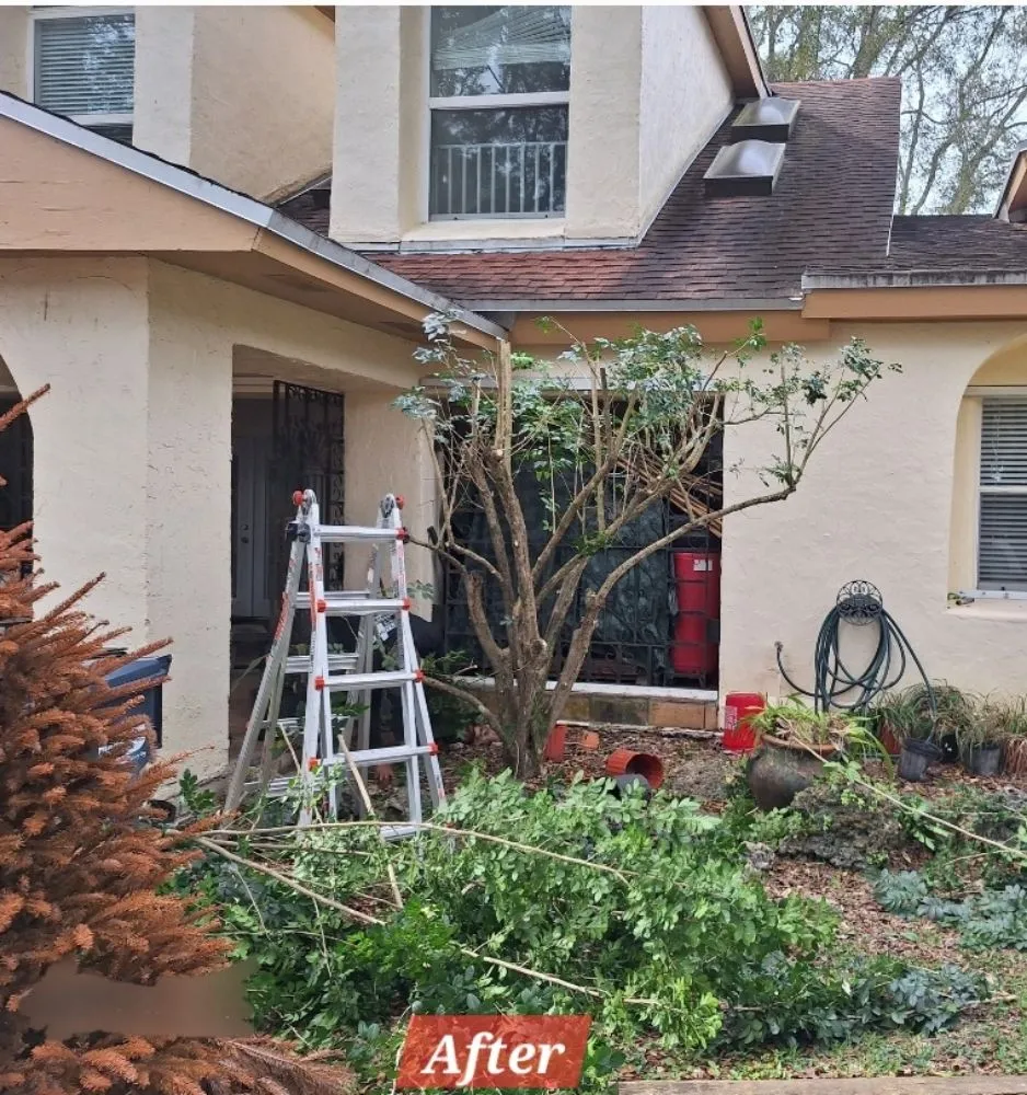 Expert landscape design for outdoor upgrades across Homestead, FL - Pro Cuts Property Maintenance