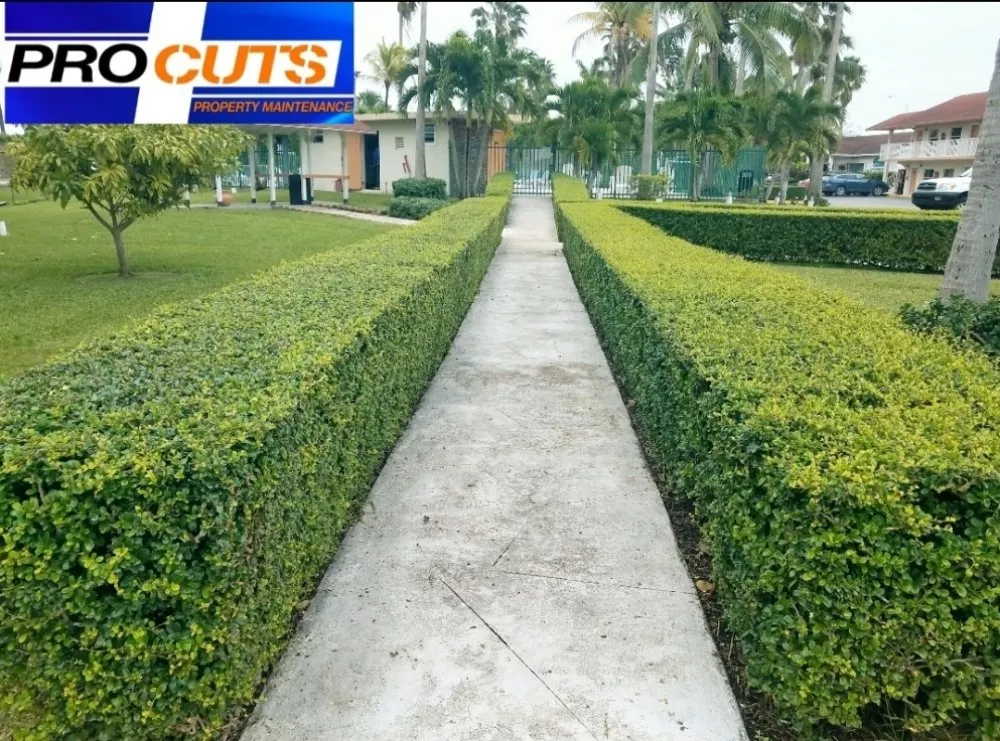 Trusted yard cleanup service for beautiful yards in Homestead, FL by Pro Cuts Property Maintenance