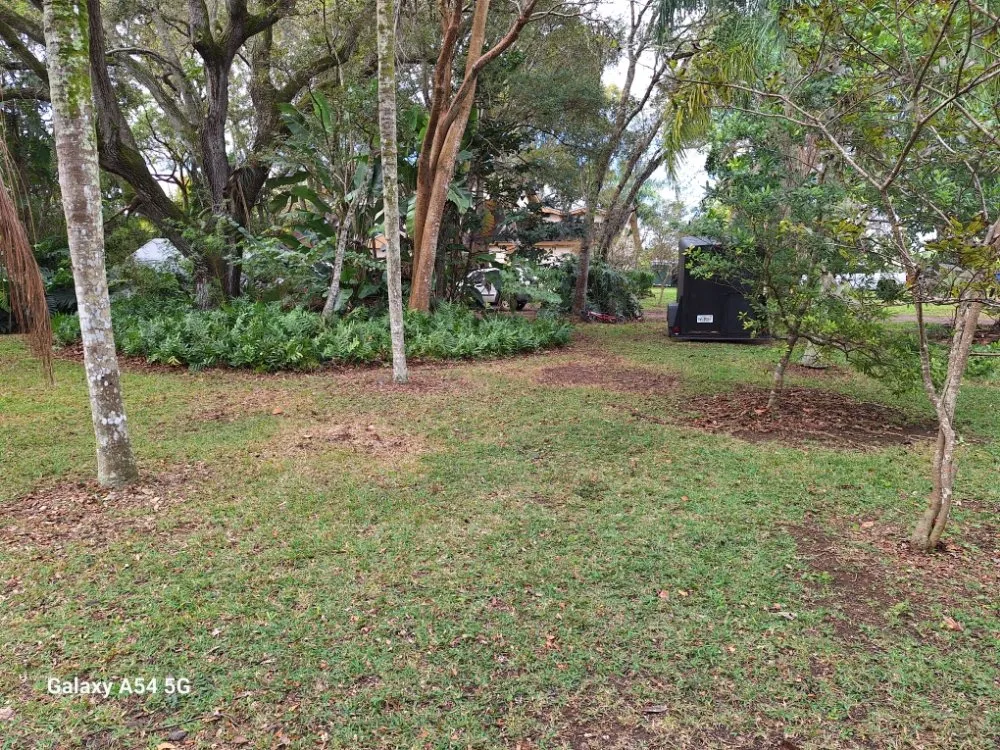 Custom yard maintenance experts serving Homestead, FL - Pro Cuts Property Maintenance