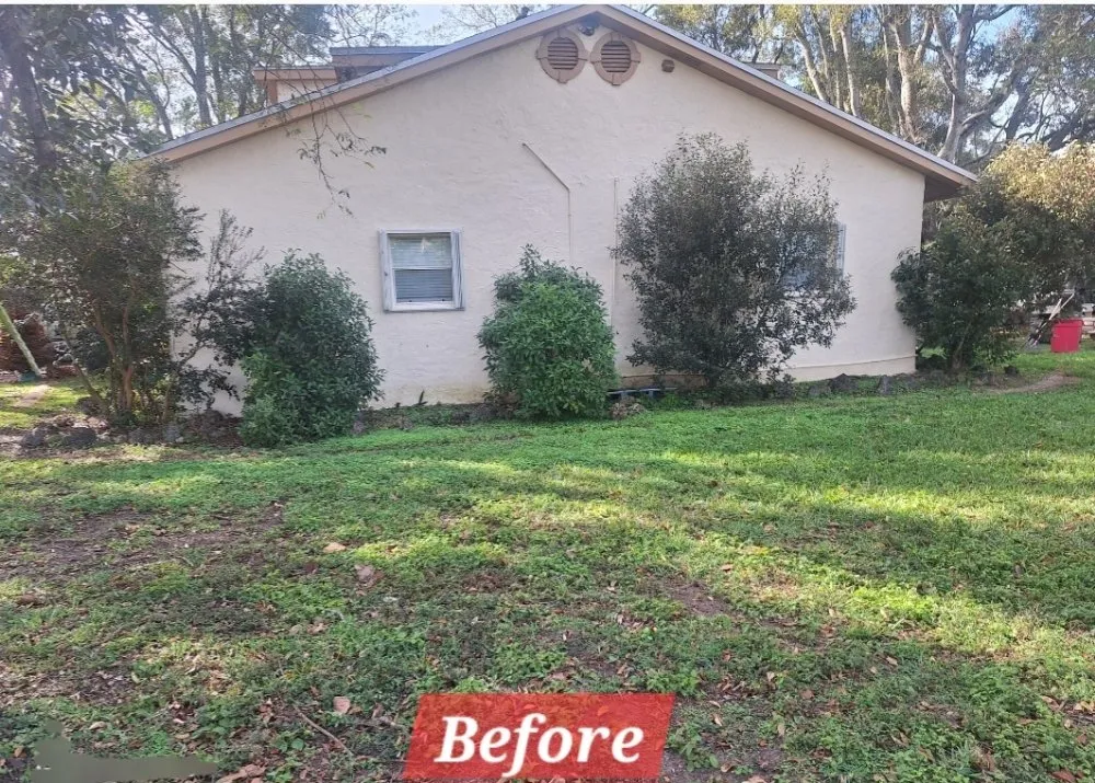 Top-rated outdoor landscaping in Homestead, FL - Pro Cuts Property Maintenance