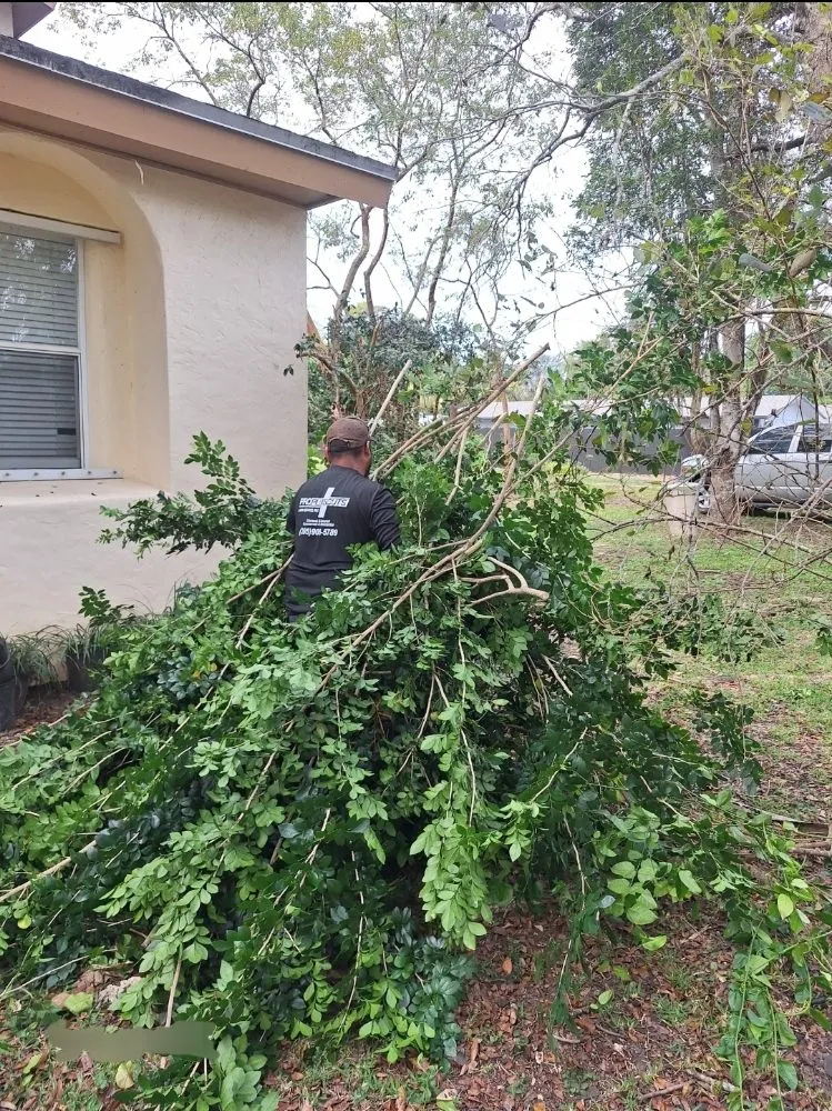 Reliable garden landscaping in Homestead, FL - Pro Cuts Property Maintenance