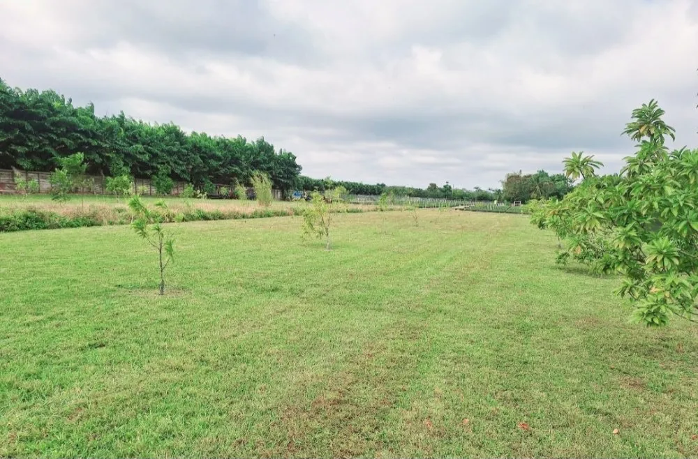 Trusted outdoor landscaping for homes across Homestead, FL - Pro Cuts Property Maintenance