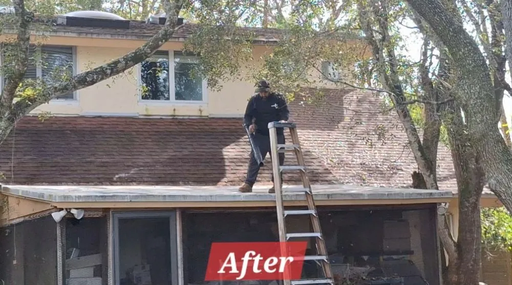 Expert outdoor landscaping in Homestead, FL by Pro Cuts Property Maintenance