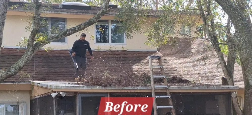 Affordable garden landscaping near you across Homestead, FL - Pro Cuts Property Maintenance