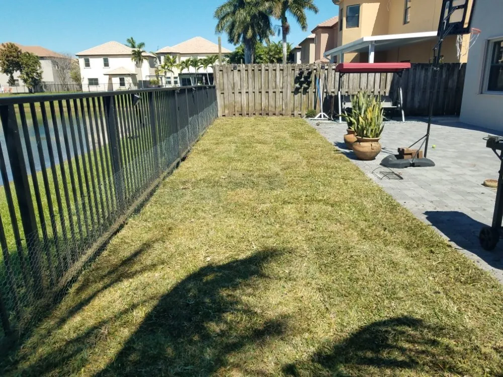 Reliable lawn care service for homes across Homestead, FL - Pro Cuts Property Maintenance