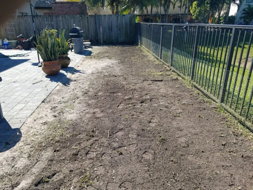 Professional lawn care service for year-round maintenance across Homestead, FL - Pro Cuts Property Maintenance