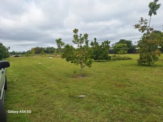 Pro Cuts Property Maintenance Logo