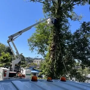 Professional yard maintenance in Marion, IN by Pro Cuts Tree Care & Landscaping