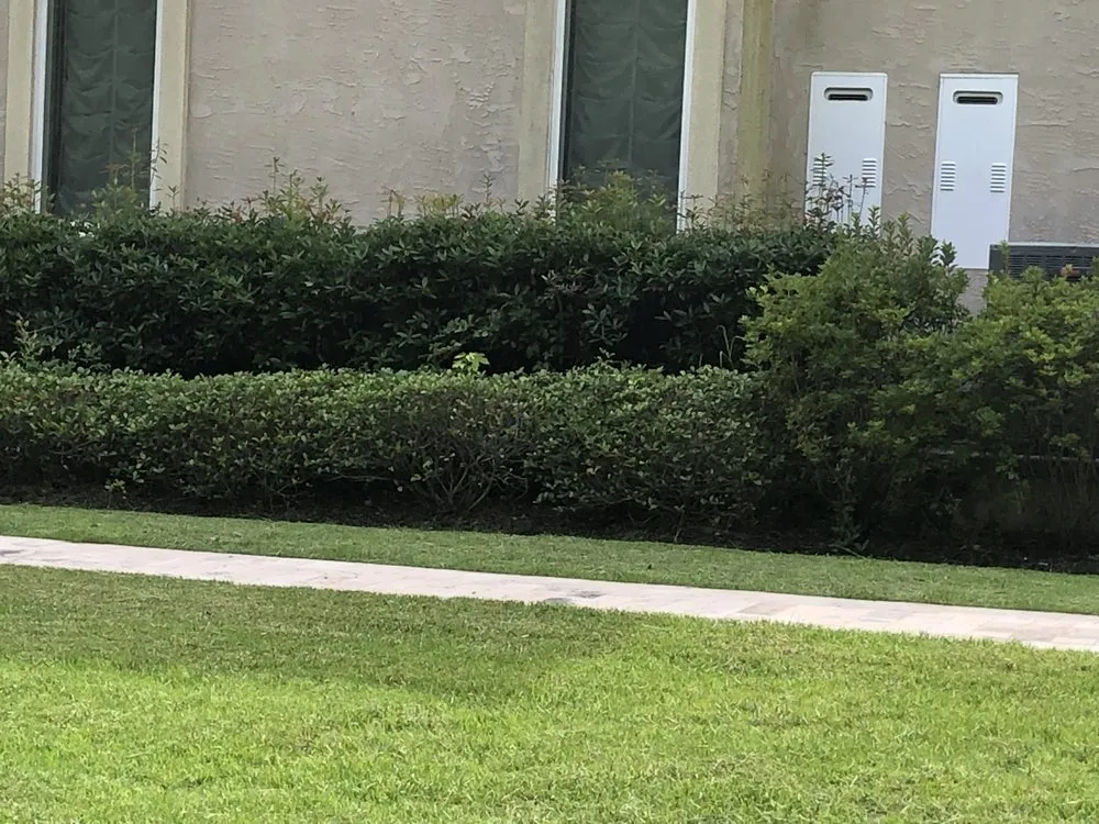 Affordable landscape design for year-round maintenance across Long Beach, MS - Pro Cuts USA Lawn Service