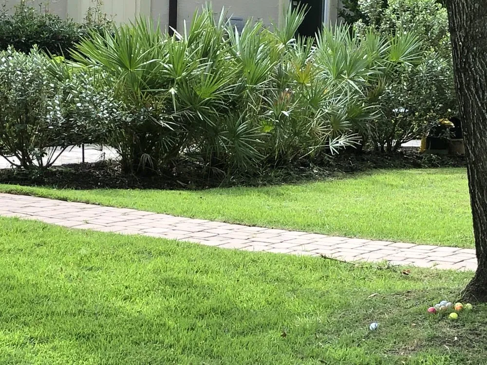 Trusted residential landscaping in Long Beach, MS - Pro Cuts USA Lawn Service