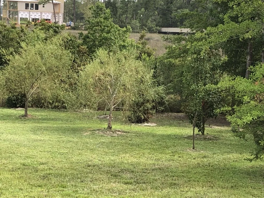 Top-rated garden landscaping for beautiful yards across Long Beach, MS - Pro Cuts USA Lawn Service