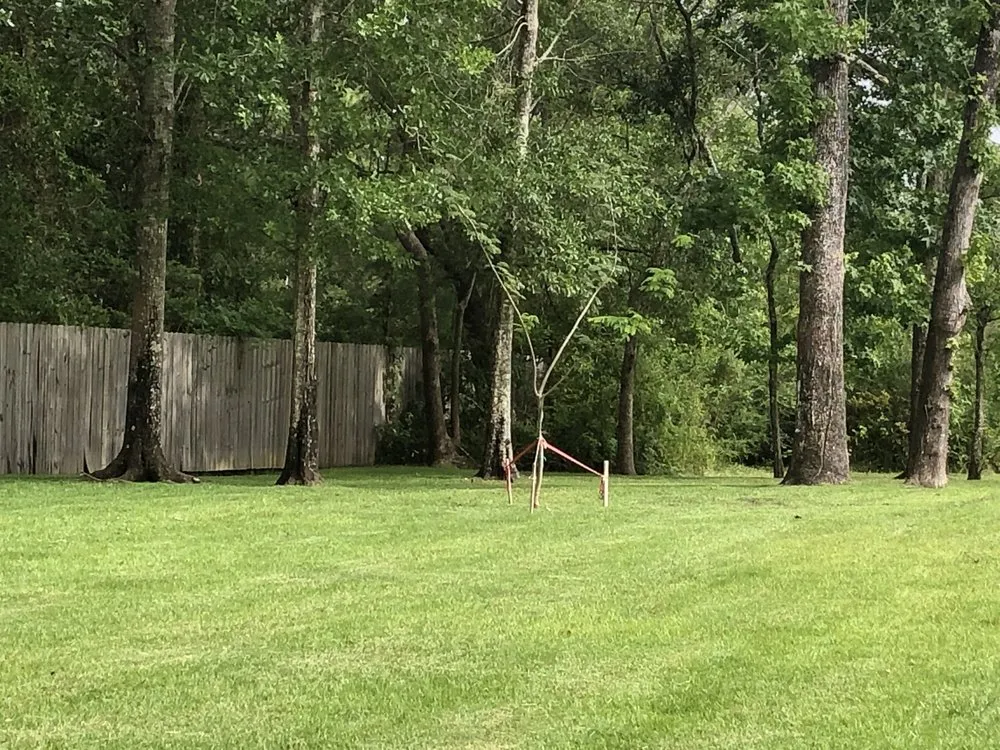 Local lawn mowing service in Long Beach, MS - Pro Cuts USA Lawn Service