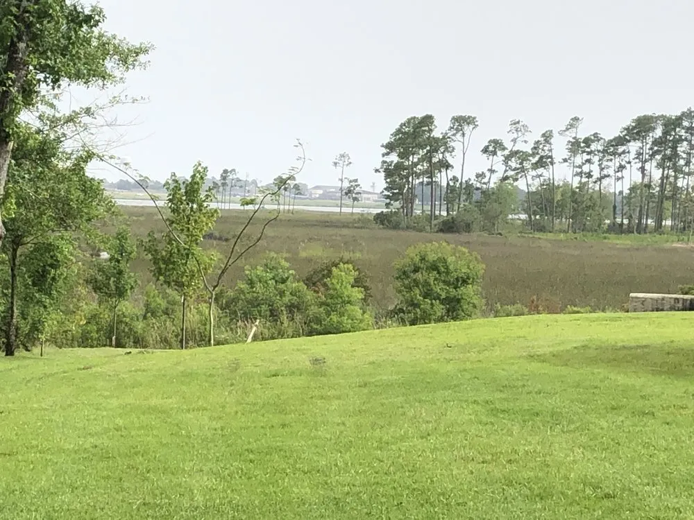 Expert yard maintenance in Long Beach, MS by Pro Cuts USA Lawn Service