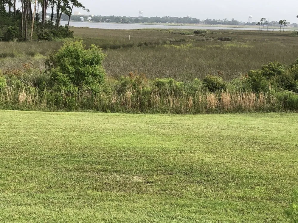 Affordable lawn care service for residential properties in Long Beach, MS by Pro Cuts USA Lawn Service