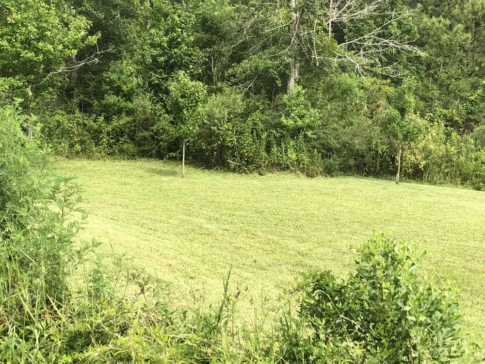 Reliable lawn mowing service in Long Beach, MS by Pro Cuts USA Lawn Service