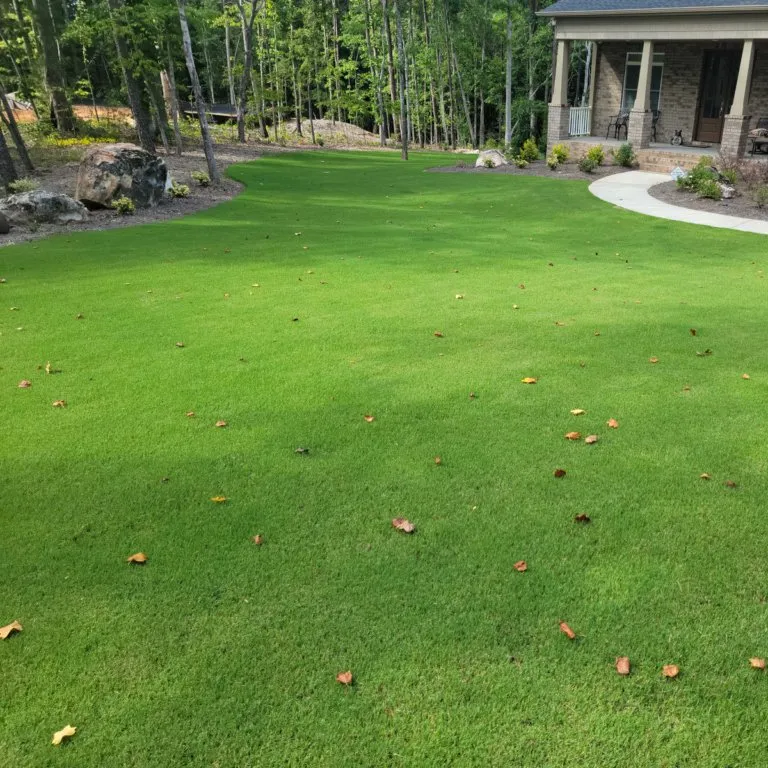 Professional residential landscaping in North Charleston, SC by Pro Cutz Lawn Care