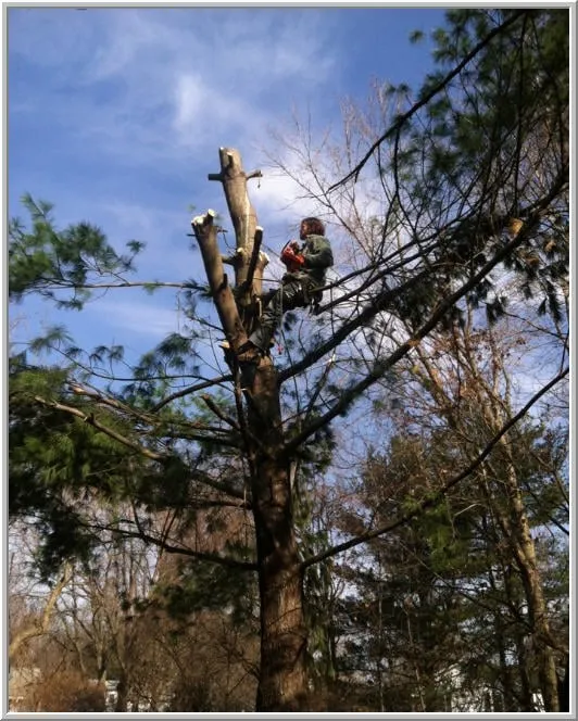 Custom outdoor landscaping experts serving Bordentown, NJ - Pro Design Outdoors