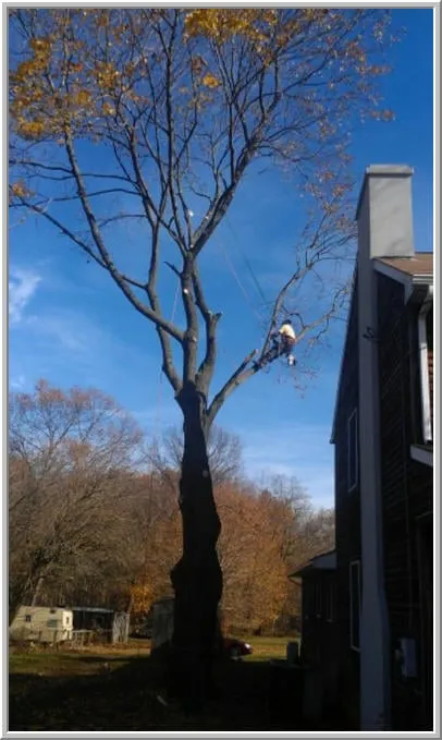 Custom residential landscaping in Bordentown, NJ - Pro Design Outdoors