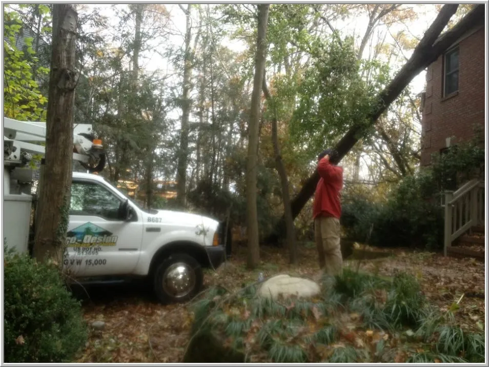 Custom yard maintenance near you across Bordentown, NJ - Pro Design Outdoors