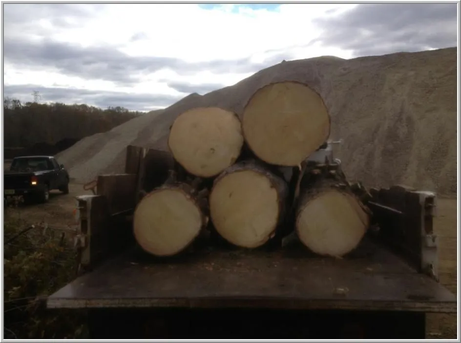 Expert outdoor landscaping for outdoor upgrades across Bordentown, NJ - Pro Design Outdoors