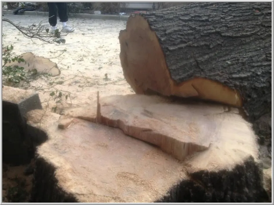 Custom landscape installation for residential properties in Bordentown, NJ by Pro Design Outdoors