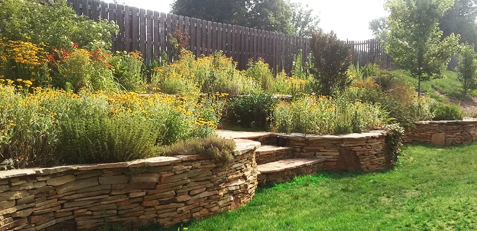Expert yard cleanup service for beautiful yards across Greensboro, NC - Pro Earth Landscaping