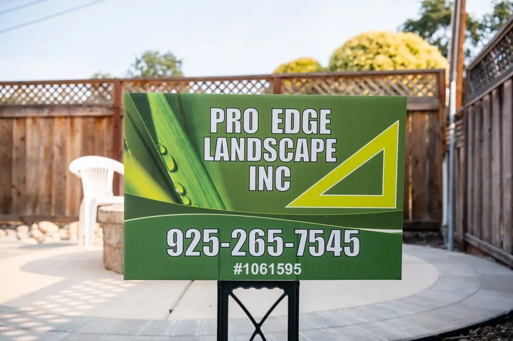 Expert lawn care service for outdoor upgrades in Concord, CA by Pro Edge Landscape