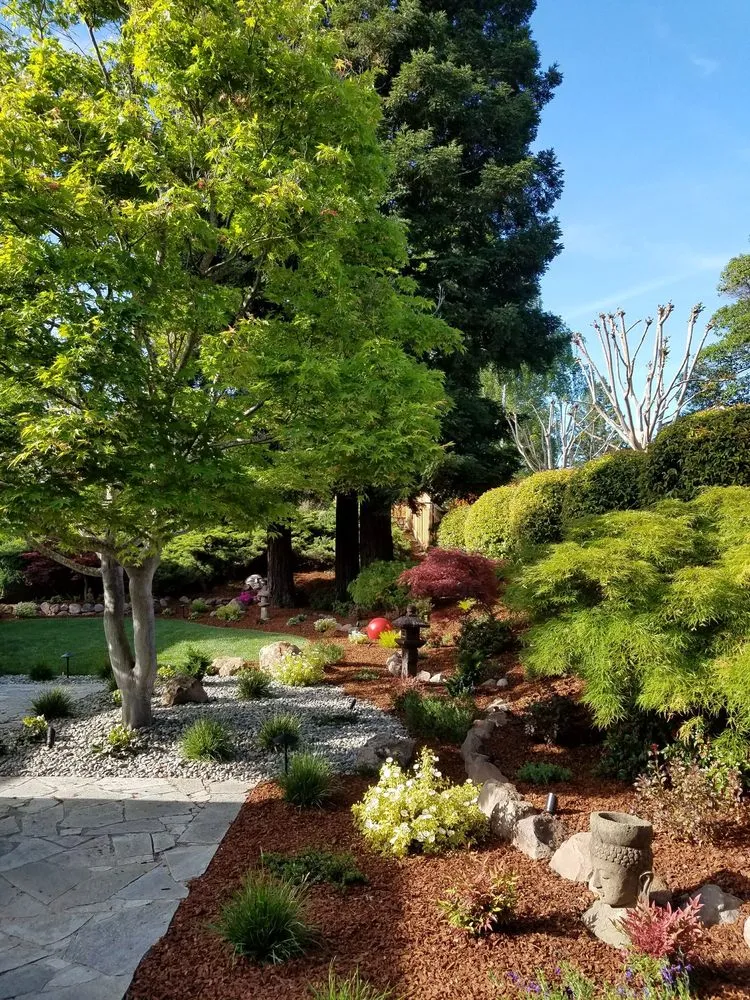 Top-rated landscape installation experts serving Concord, CA - Pro Edge Landscape