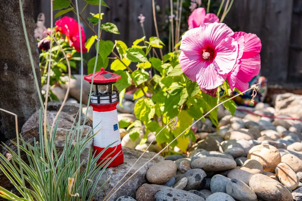 Custom lawn care service experts serving Concord, CA - Pro Edge Landscape