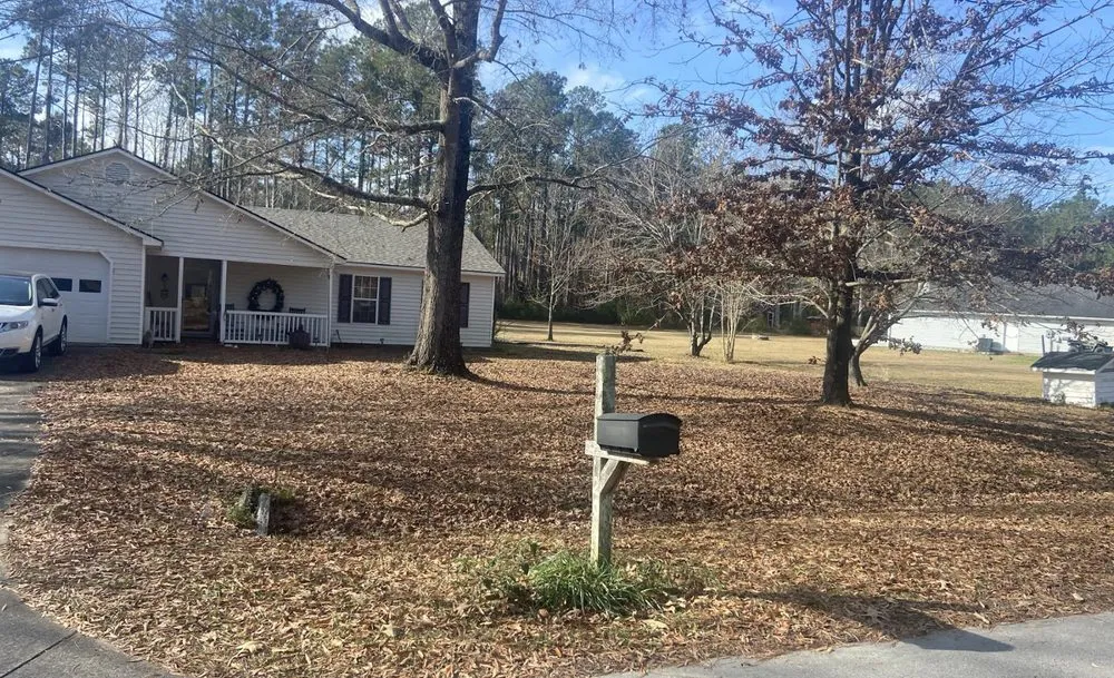 Expert yard cleanup service near you in Havelock, NC by Pro Edge Lawn Care And Maintenance