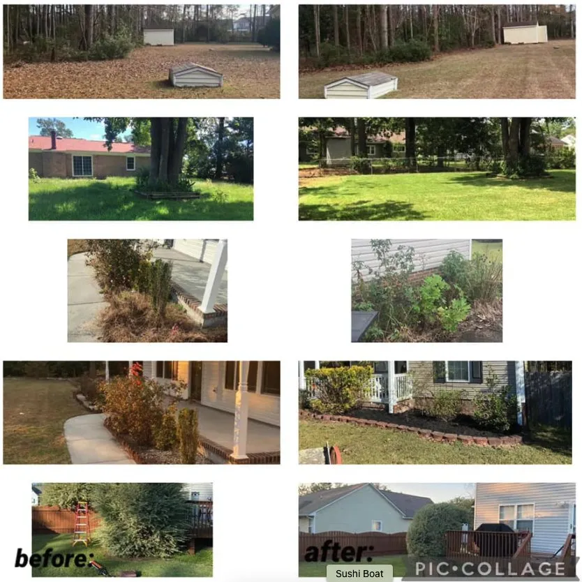 Professional landscaping services in Havelock, NC by Pro Edge Lawn Care And Maintenance