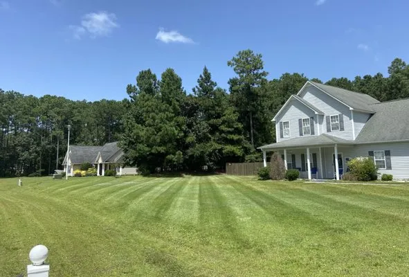 Pro Edge Lawn Care And Maintenance