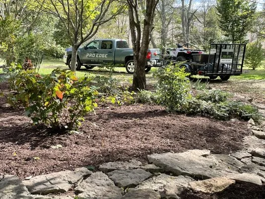 Pro Edge Lawns