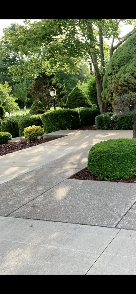 Custom yard cleanup service near you across Lebanon Junction, KY - Pro Elite Contracting