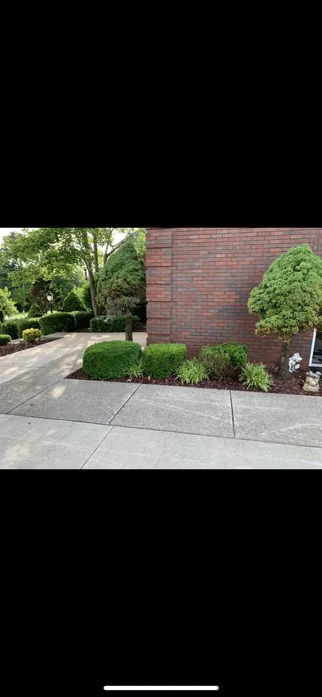Affordable garden landscaping in Lebanon Junction, KY - Pro Elite Contracting
