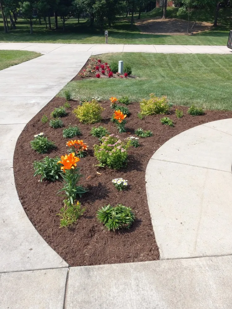 Top-rated yard maintenance experts serving Terre Haute, IN - Pro Elite Home Services