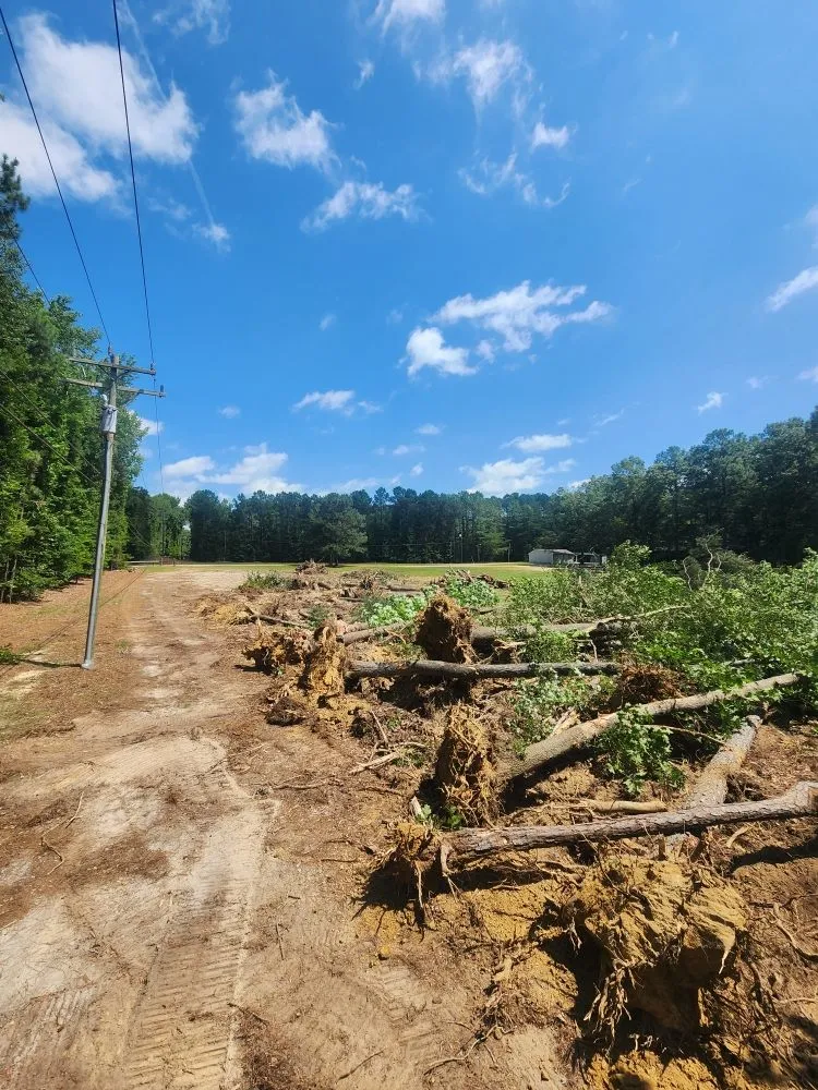 Affordable residential landscaping in Stony Creek, VA - Pro Equip Services