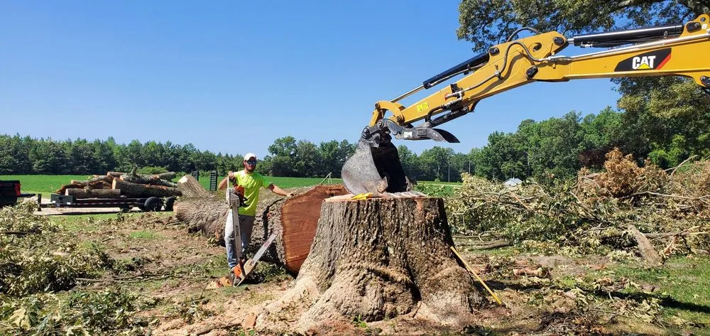Custom landscape design in Stony Creek, VA - Pro Equip Services