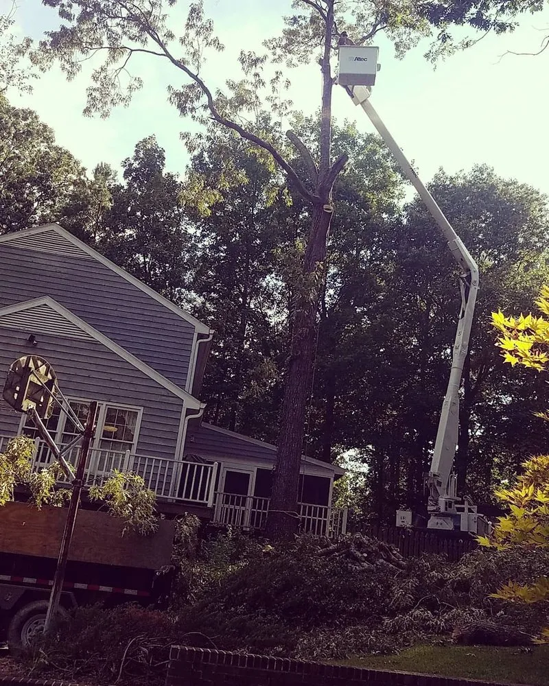 Trusted landscape design in Stony Creek, VA by Pro Equip Services