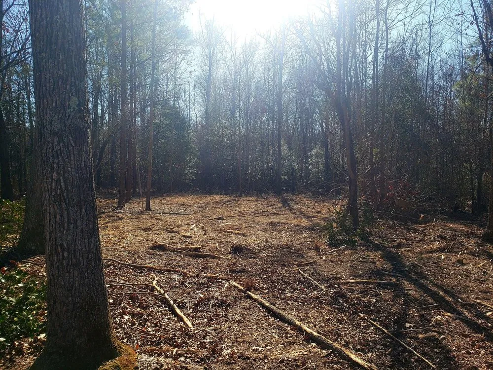 Affordable yard cleanup service experts serving Stony Creek, VA - Pro Equip Services
