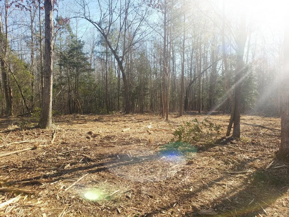 Reliable lawn mowing service in Stony Creek, VA by Pro Equip Services