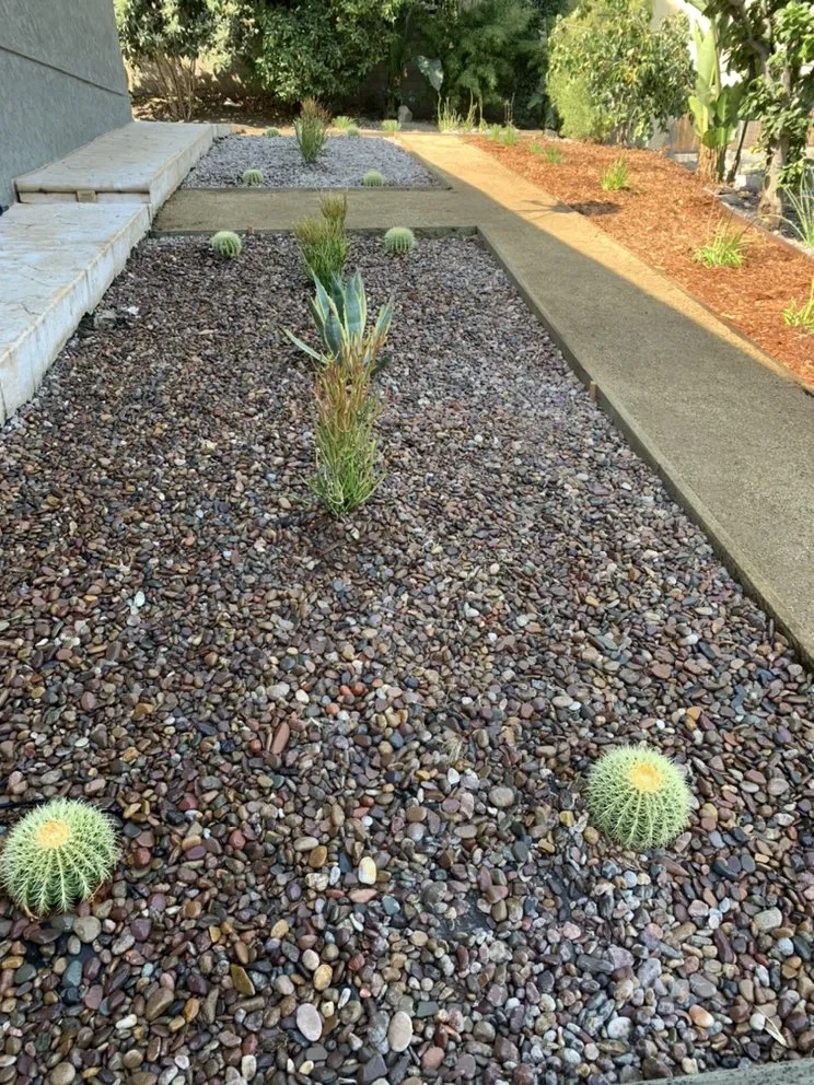 Affordable lawn care service in Los Angeles, CA by Pro Era Landscaping Inc.