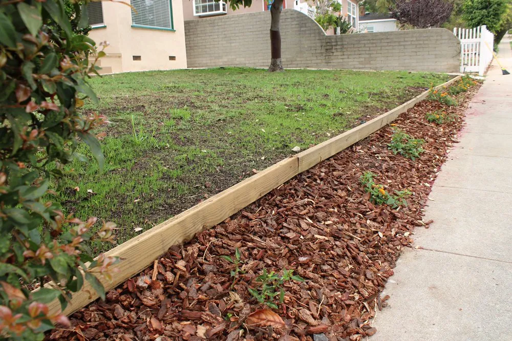 Professional yard maintenance in Los Angeles, CA by Pro Era Landscaping Inc.