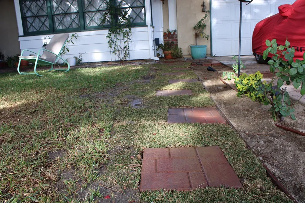 Affordable yard maintenance near you in Los Angeles, CA by Pro Era Landscaping Inc.